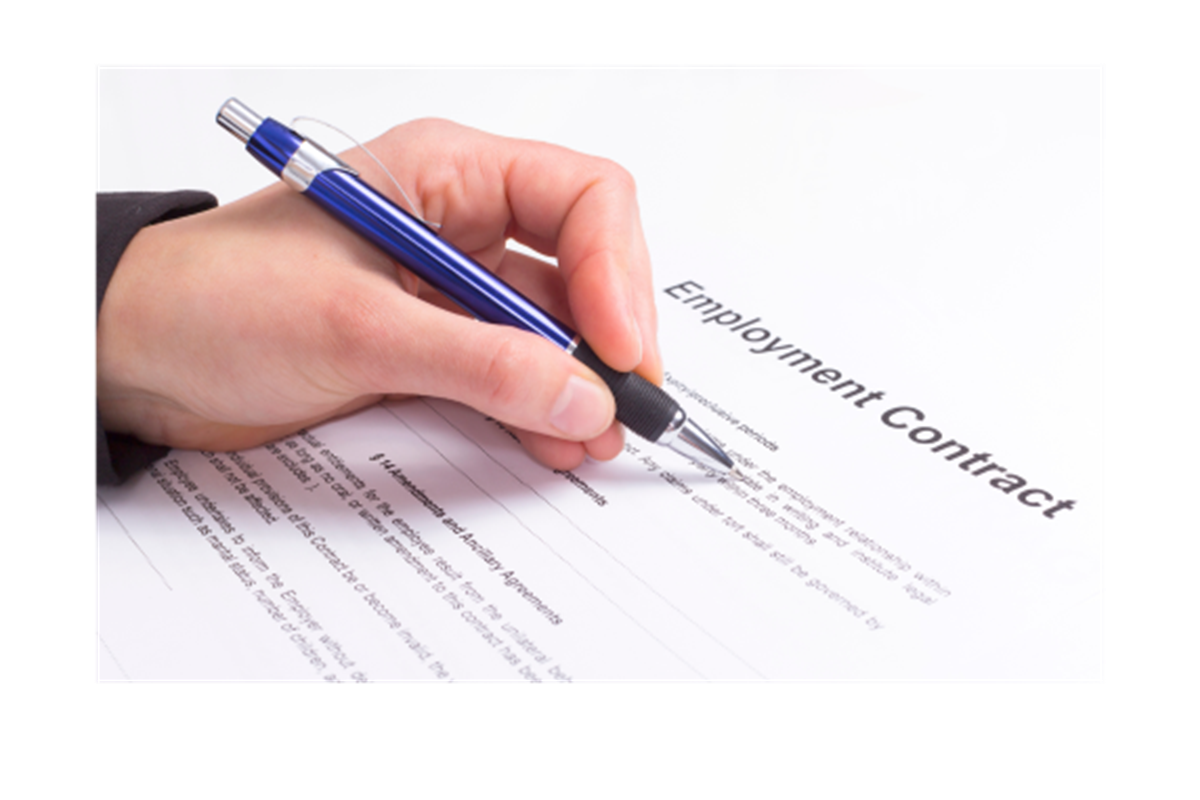 Employment Contract